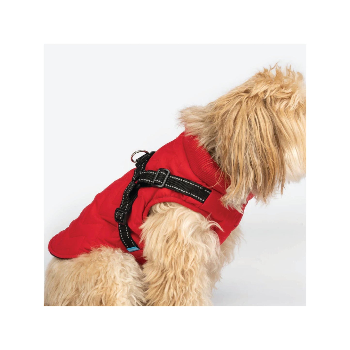 Silver Paw - Manteau pour chien avec harnais intégré (rouge)