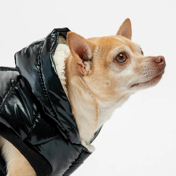 Silver Paw - Manteau chaud pour chien Emma (noir)