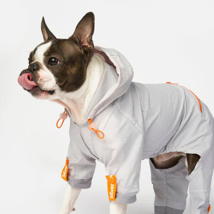 Silver Paw - One Piece Dog Splash Suit (Grey, Sizes available)