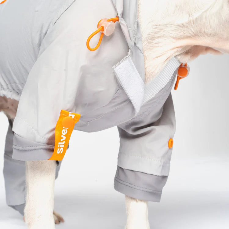 Silver Paw - One Piece Dog Splash Suit (Grey, Sizes available)