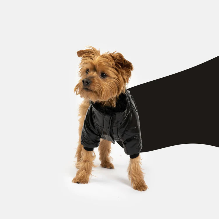 Silver Paw - Manteau pour chien Pheonix (Noir)