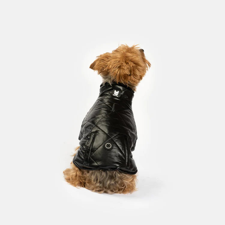 Silver Paw - Manteau pour chien Pheonix (Noir)