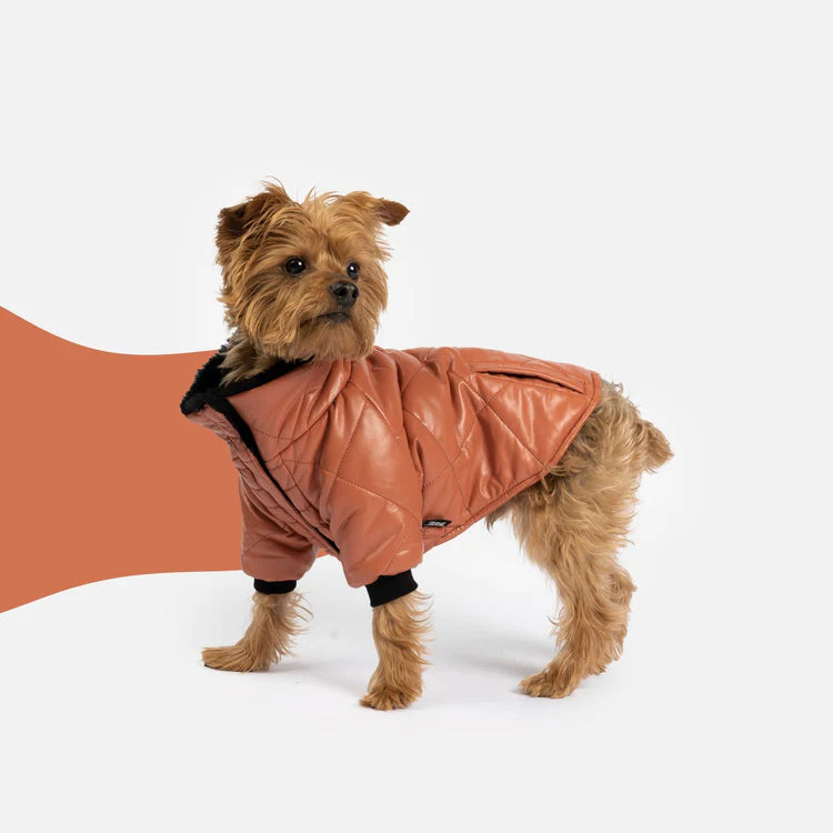 Silver Paw - Manteau pour chien Pheonix (Terre cuite)