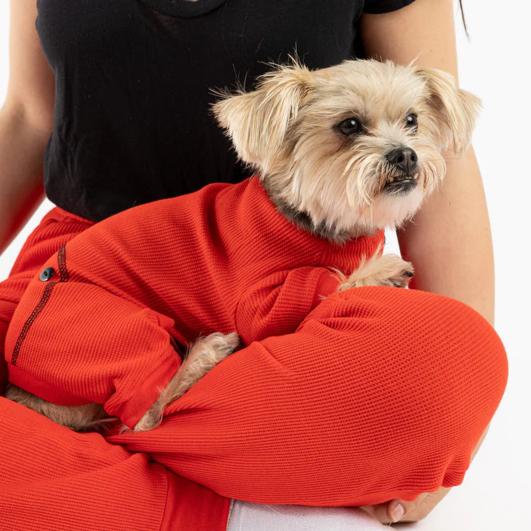 Silver Paw - Thermal Dog Pajama (Sizes available)