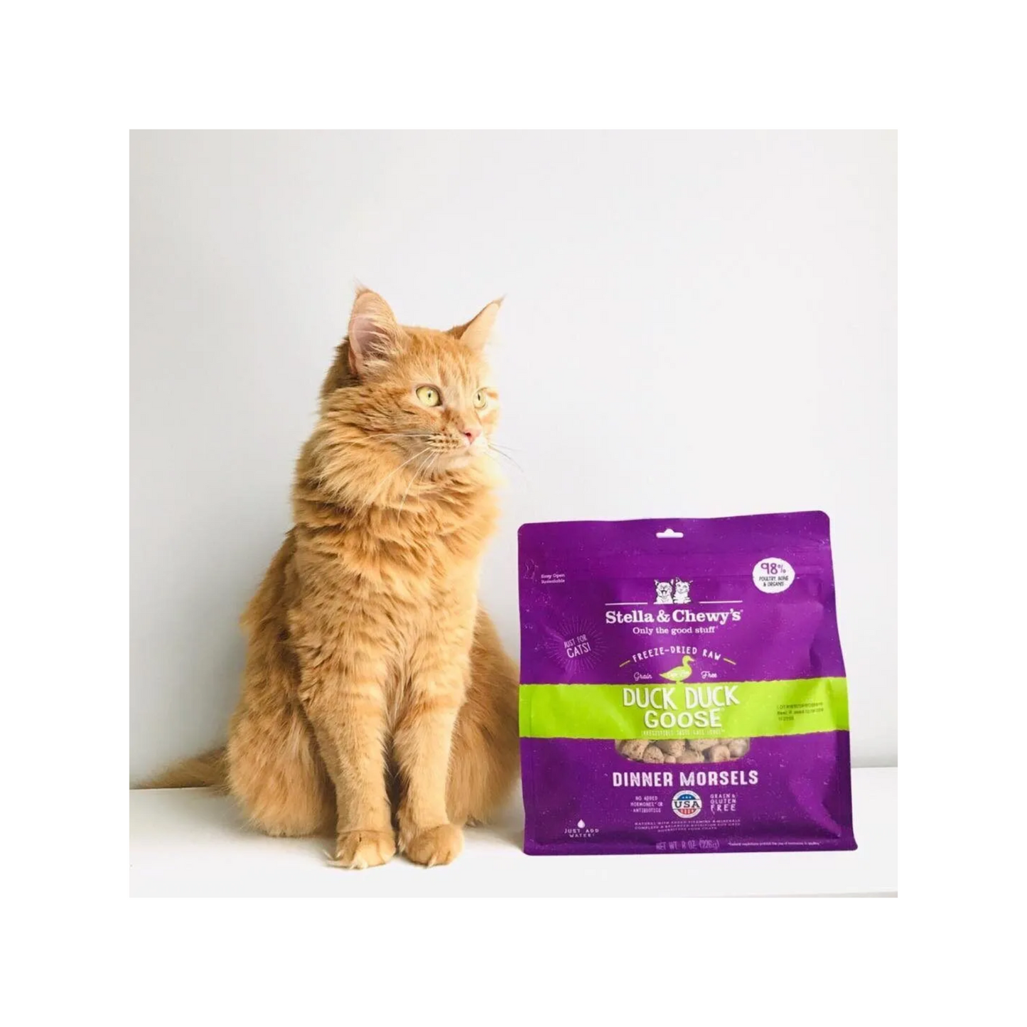 Stella & Chewy's - Duck, Duck Goose Freeze-Dried Raw Dinner Morsels