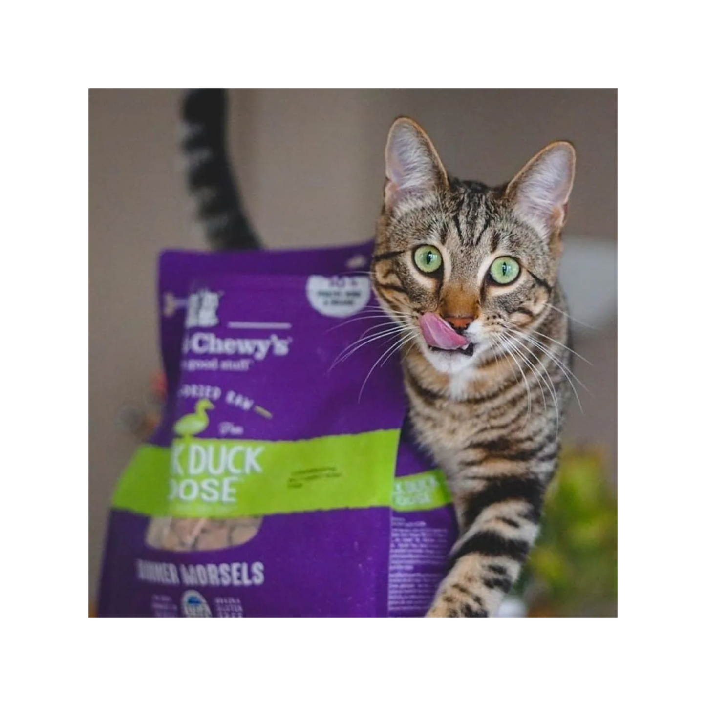 Stella & Chewy's - Duck, Duck Goose Freeze-Dried Raw Dinner Morsels