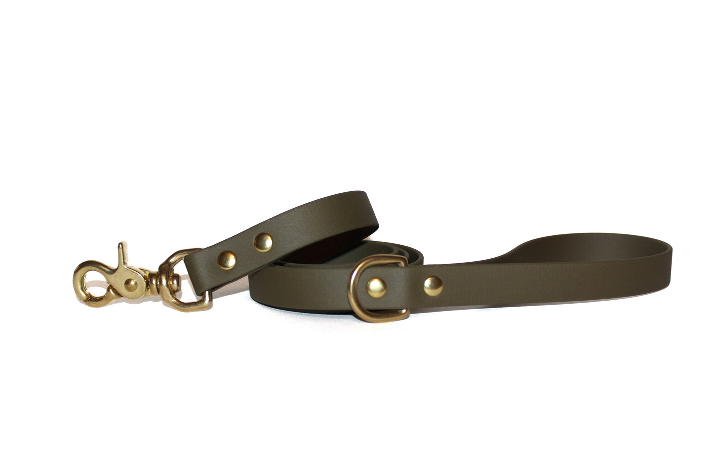 Vgan Dog - Classic Biothane Leash (1" width, colors available)