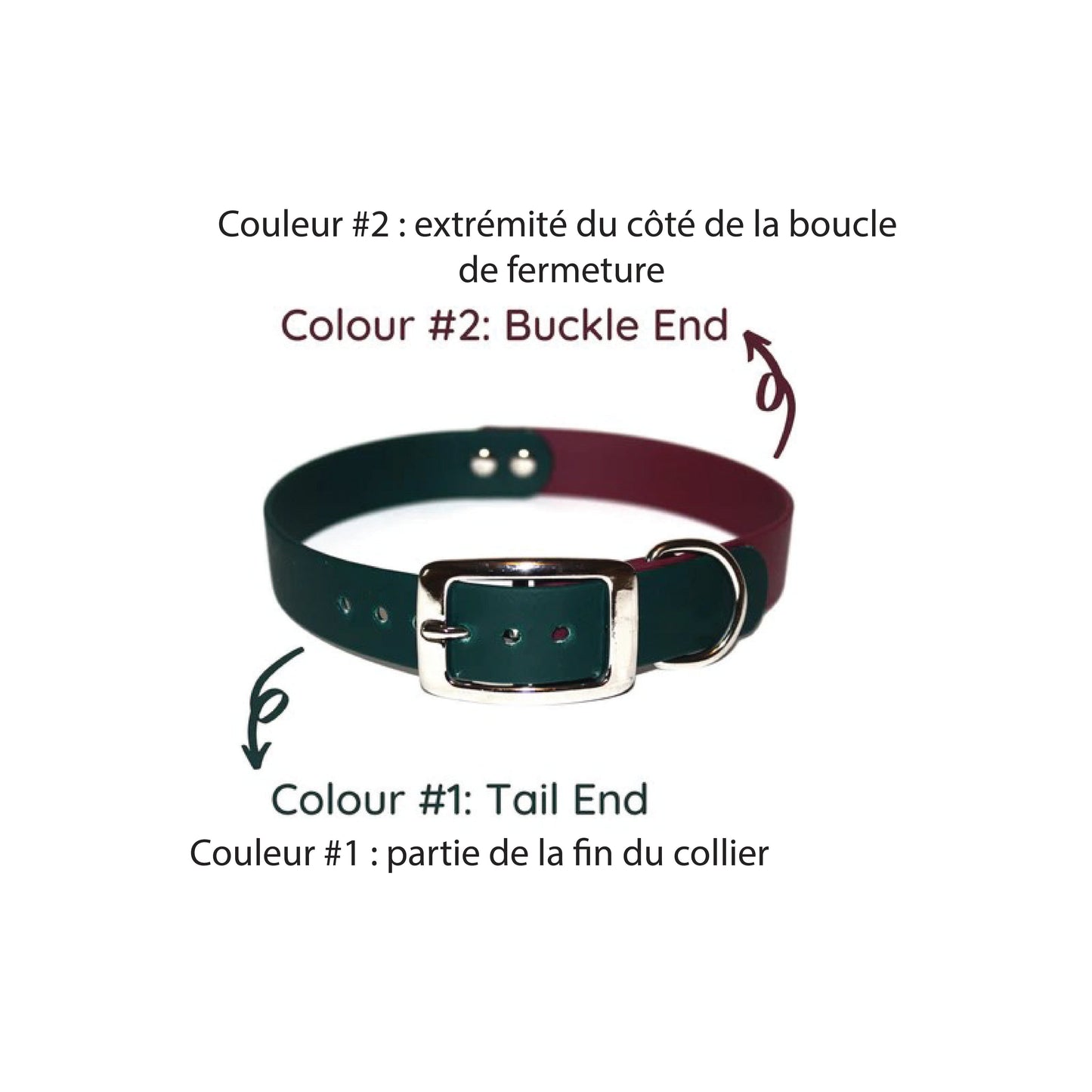 Vgan Dog - Collier classique en biothane deux couleurs (largeur de 0,75", couleurs disponibles)