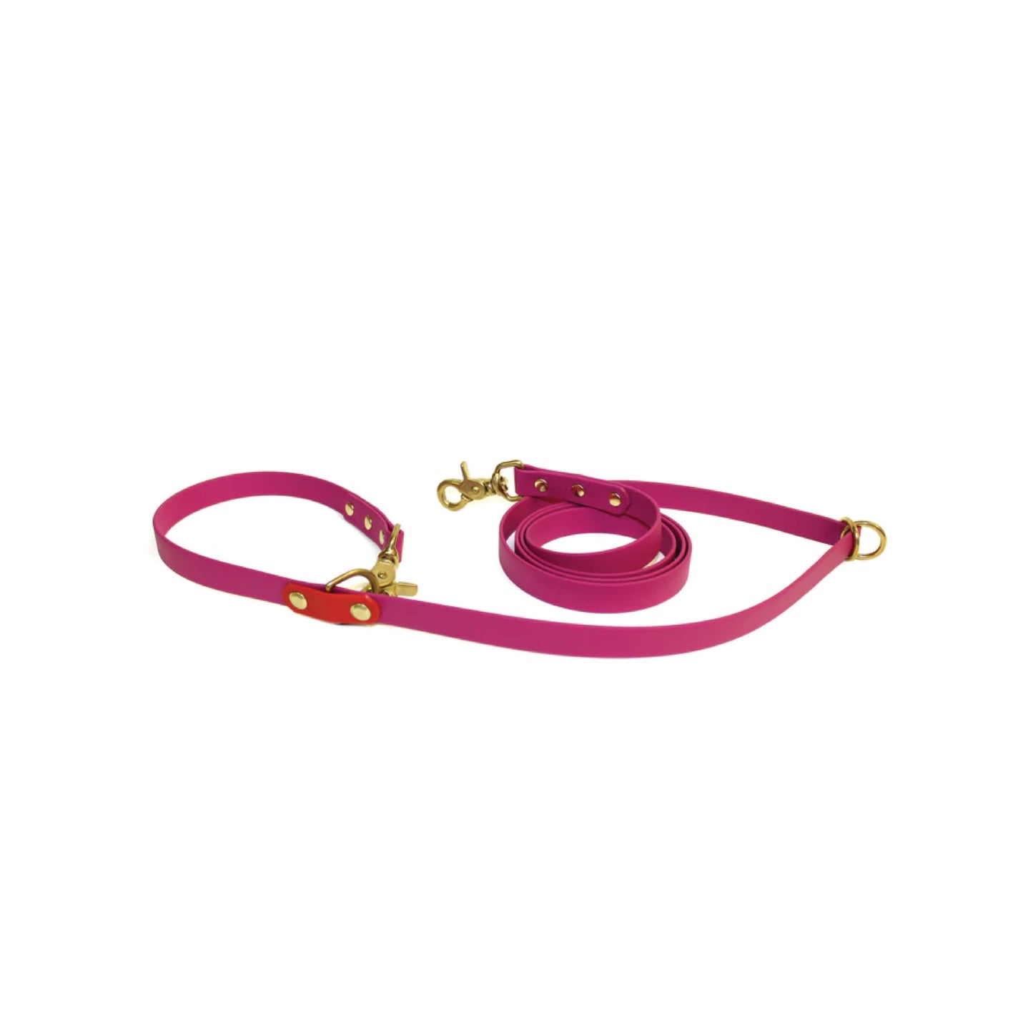 Vgan Dog - 6-way Hands-Free Biothane Leash (0.75" width, colors available)