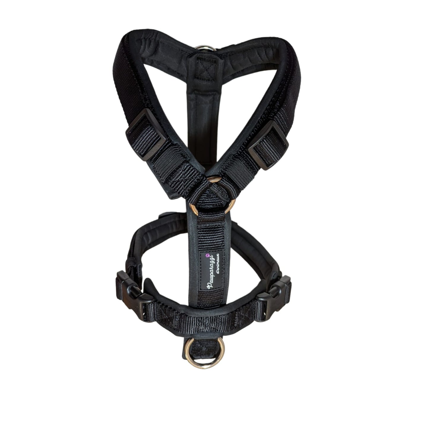 Pawparazzi d'animaux - Classic black harness