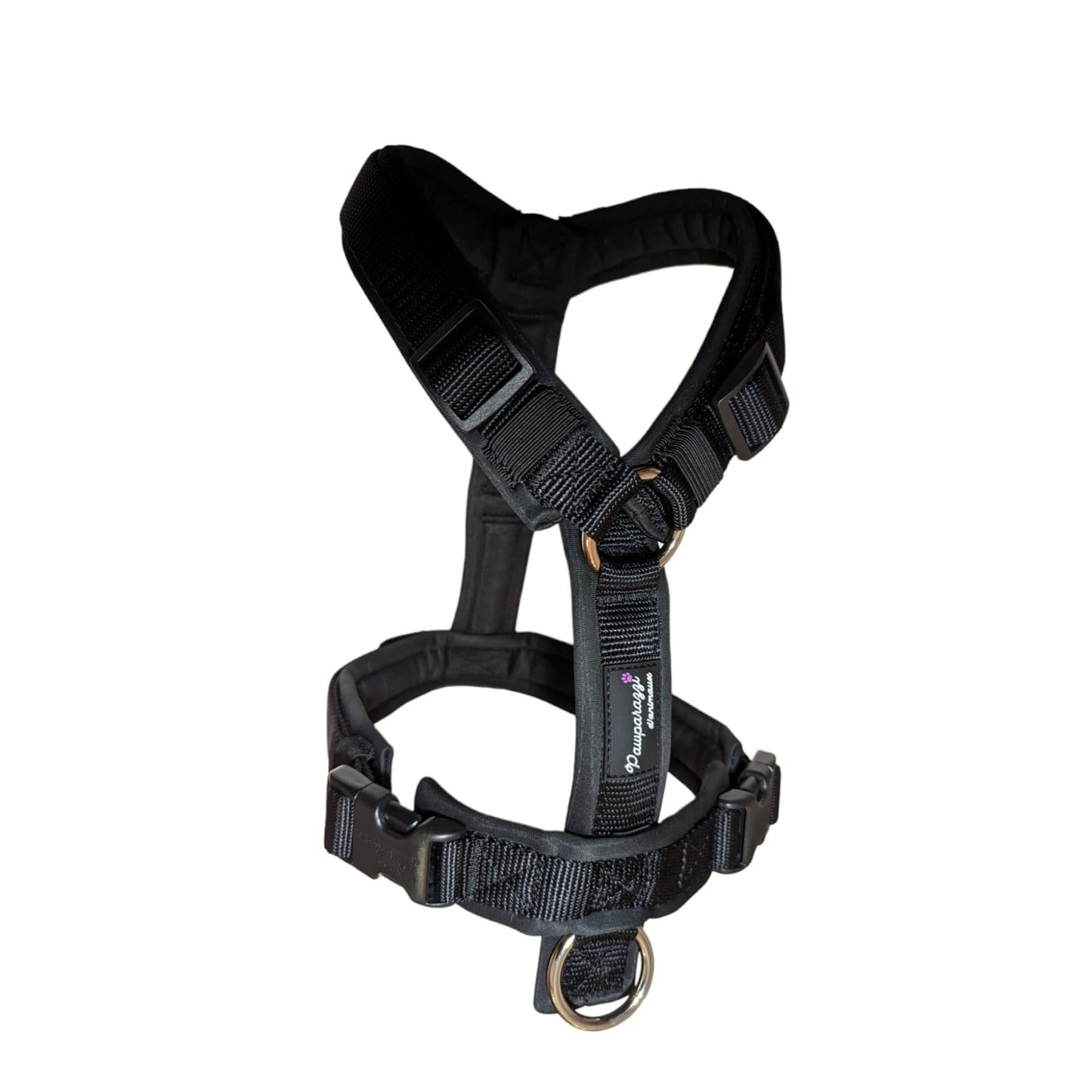 Pawparazzi d'animaux - Classic black harness