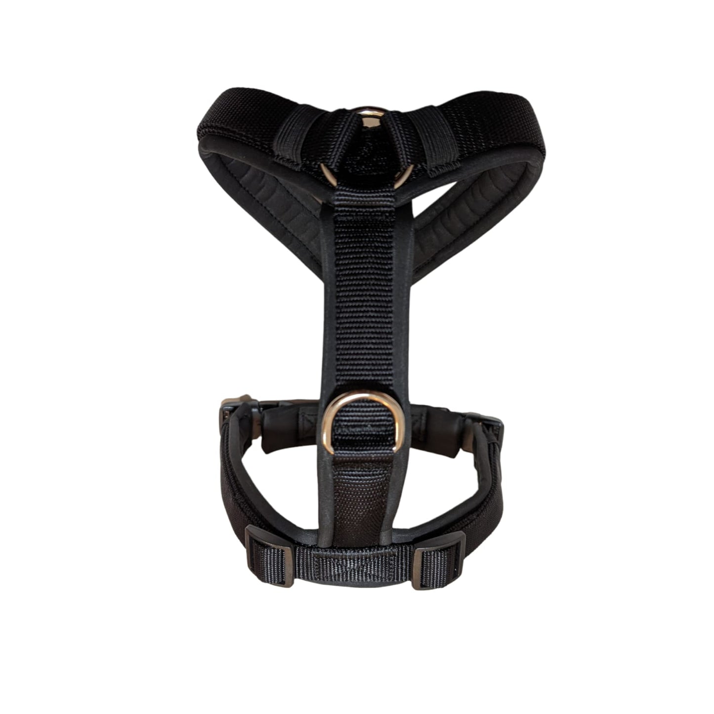 Pawparazzi d'animaux - Classic black harness