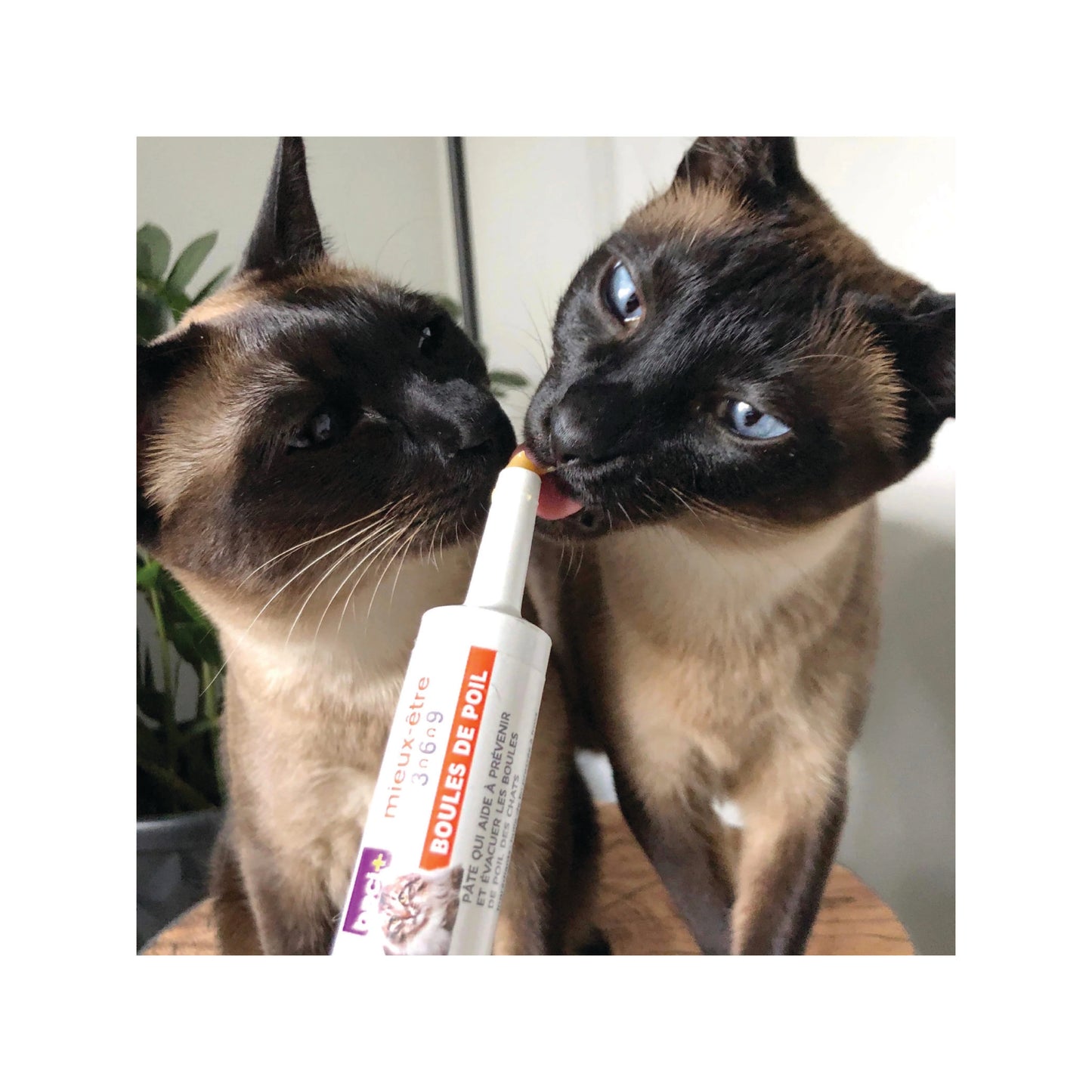 Baci + - Hairball Treatment