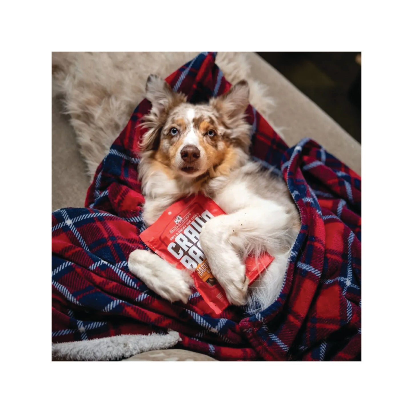 Stella & Chewy's - Crav'n Bac'n Bites™ Bacon & Beef Dog Treats