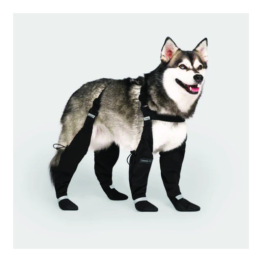 Canada Pooch - Suspender Dog Boots