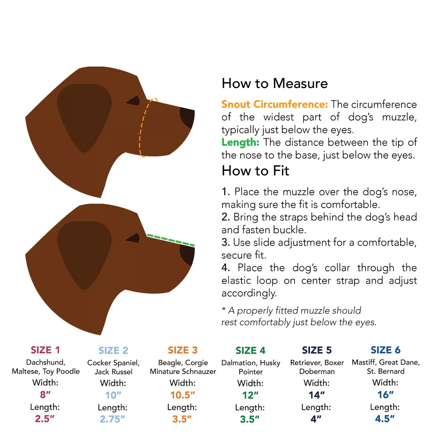 Coastal - Basket Muzzle