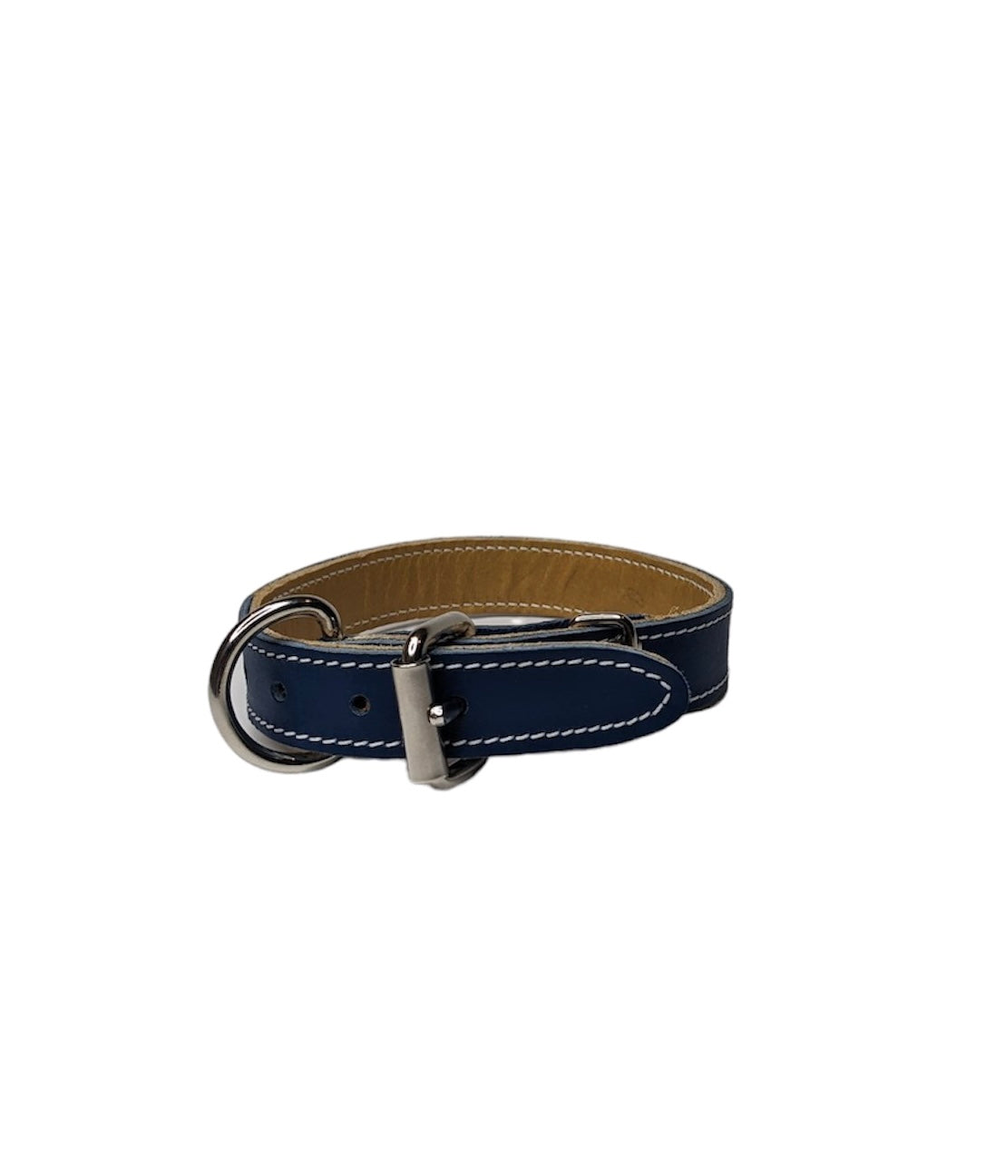 Blue Dog Coller