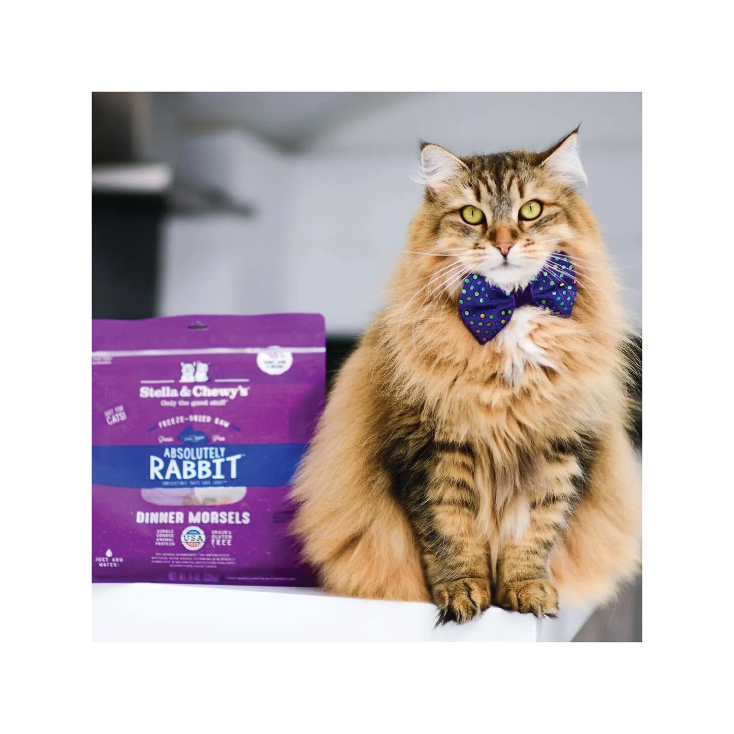Stella & Chewy's - Absolutely Rabbit Freeze-Dried Raw Dinner Morsels