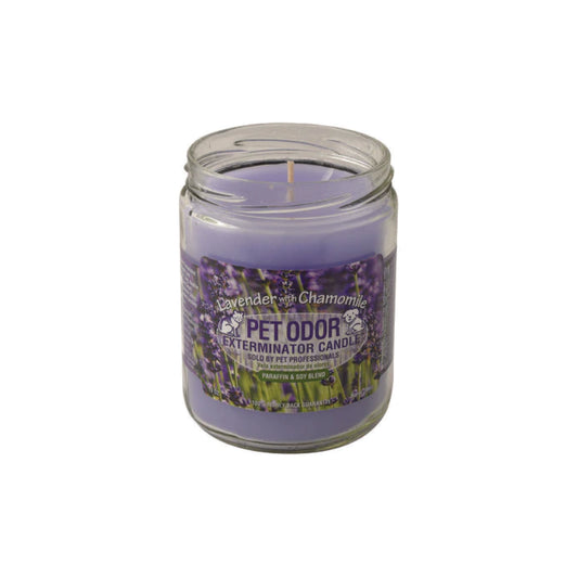 Holly Molly - Enzymatic Candles