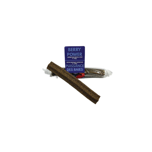 LIVSTRONG - Berry Power Dental Stick