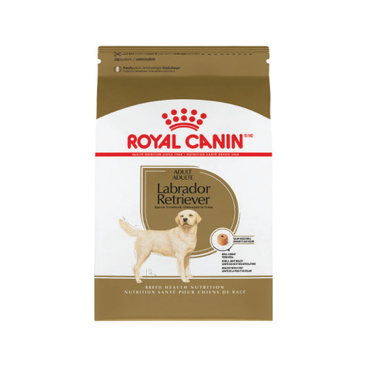 Royal Canin - Labrador Retriever Adult