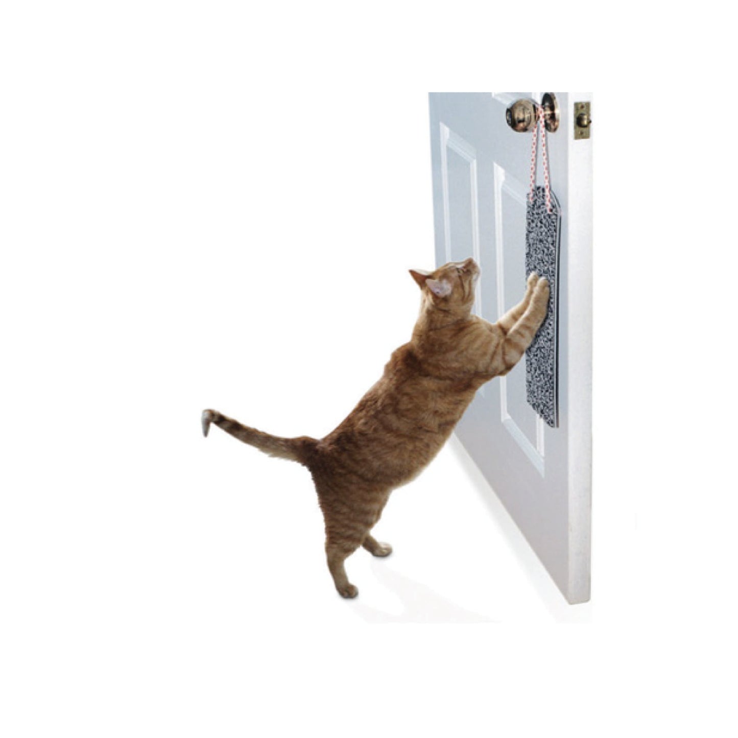 Omega Paw - Grattoir suspendu