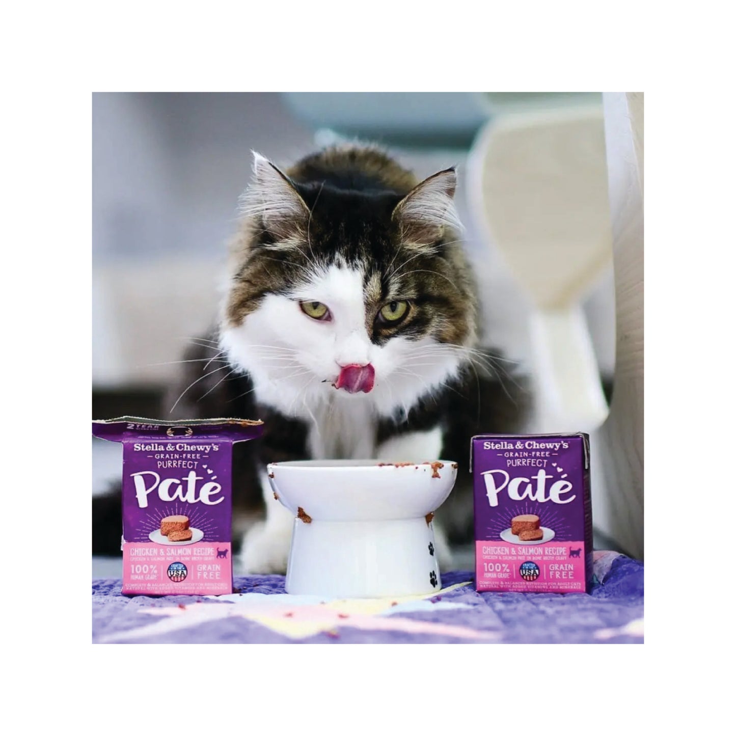 Stella & Chewy's - Purrfect Paté au poulet & au saumon