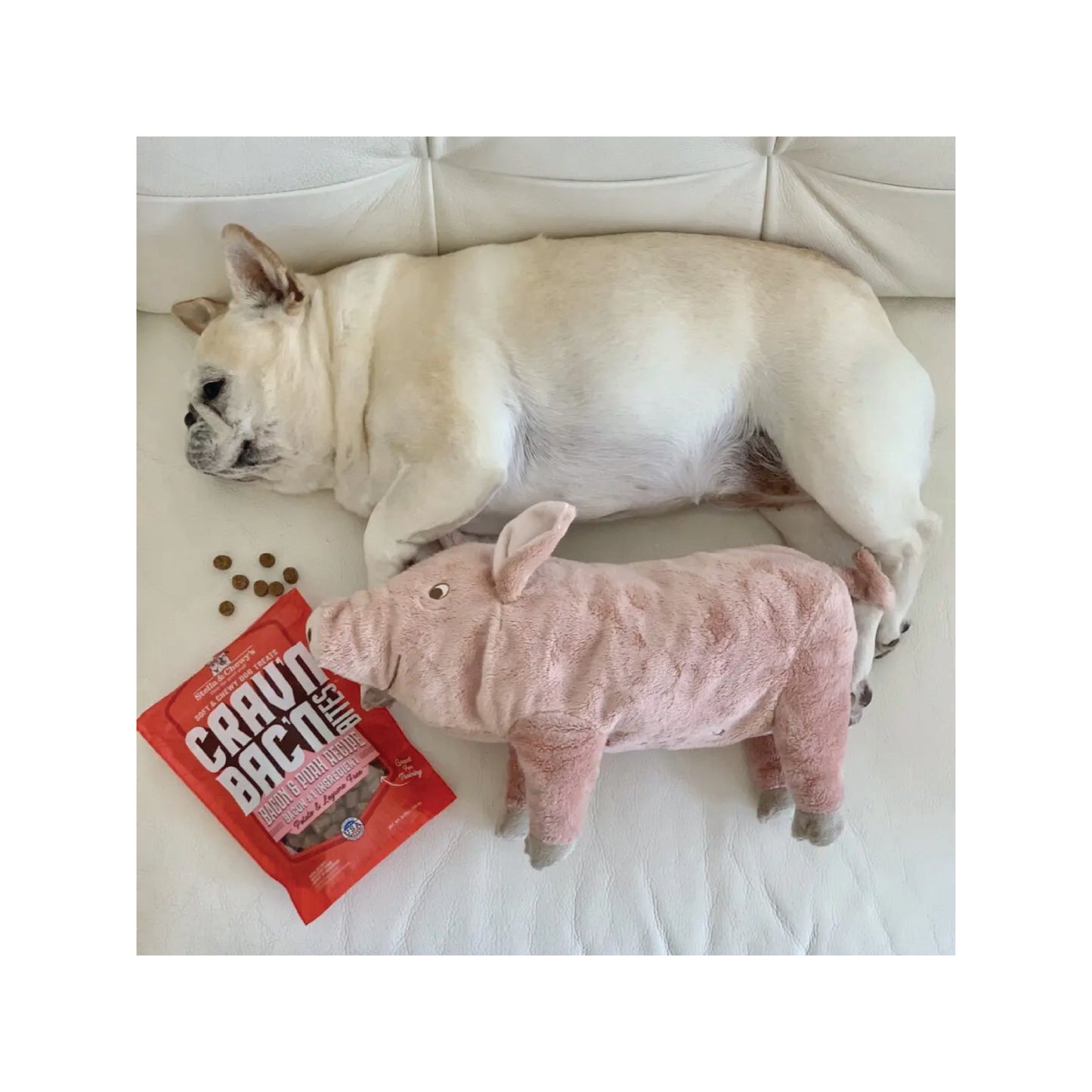 Stella & Chewy's -  Gâteries pour chien Crav'n Bac'n Bites™ au bacon et au porc 