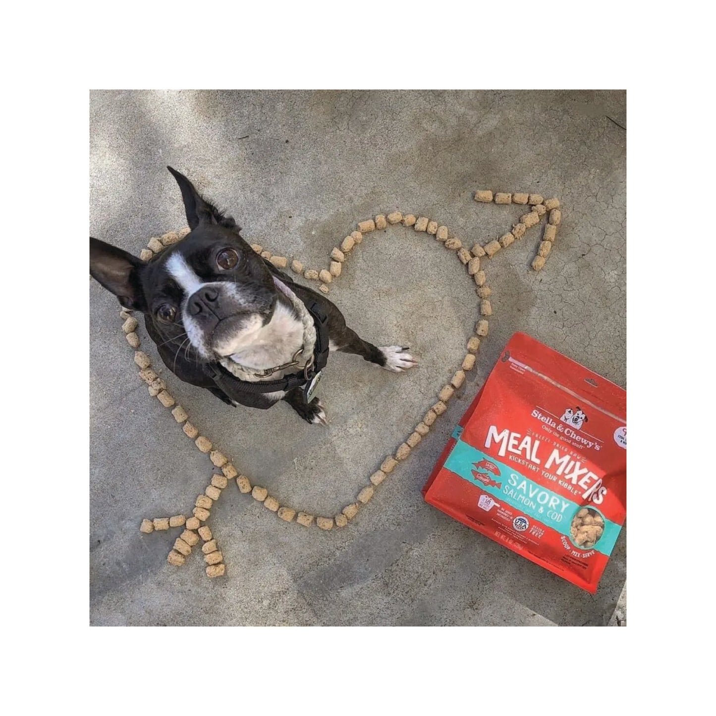 Stella & Chewy's - Savory Salmon & Cod Meal Mixers