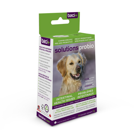 Baci+ - Solutions Probio Dogs (14 x 1g)