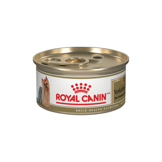 Royal Canin - Conserves Yorkshire Terrier