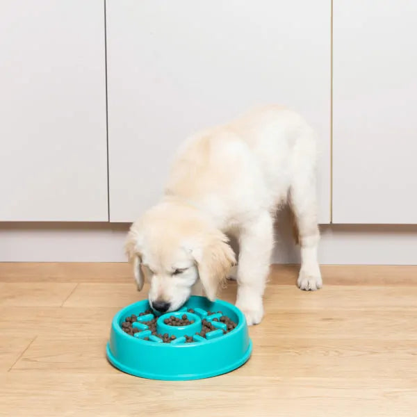 Zippy Paws - Happy Bowl Donut Dog Slow Feeder